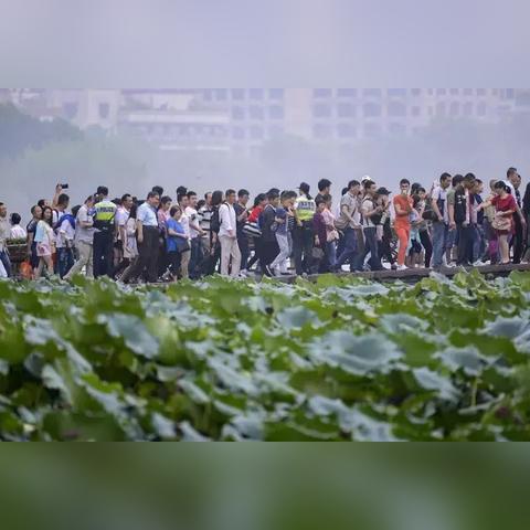 临沂市沂水县西湖中学的长尾关键词有什么