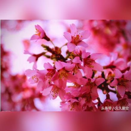 你的命盘格局藏着哪些不为人知的玄机？