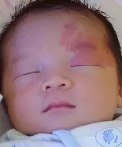 投资后有收益的副业是什么 买了雅阁后有什么副业