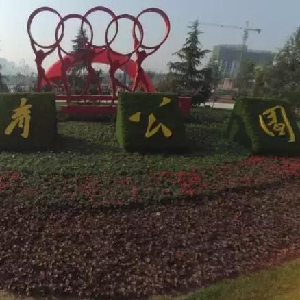 石家庄市体育局在哪里