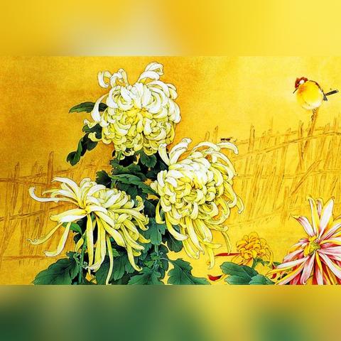 怎么看八字命盘财运好坏_怎么看八字财运(八字怎样看财运实例命案)