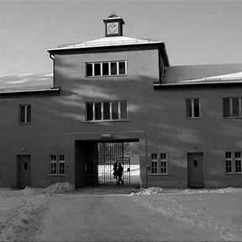 石家庄市企业总部在哪里