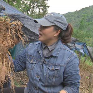 河北清河县什么特产