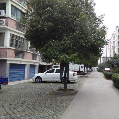 济南市汇才中学什么样