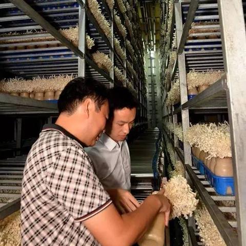 厦门冷链仓储的相关长尾关键词有哪些