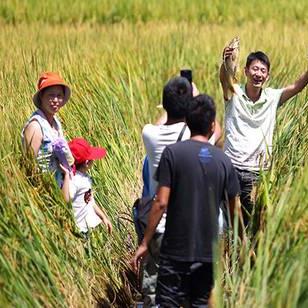 保定市竞秀区桑拿的长尾关键词有什么