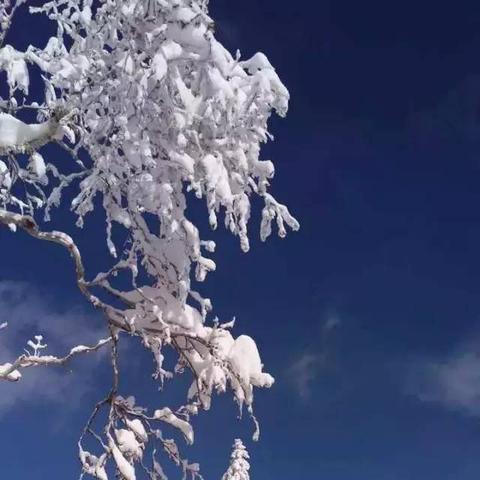 哈尔滨下雪马路相关长尾关键词有哪些