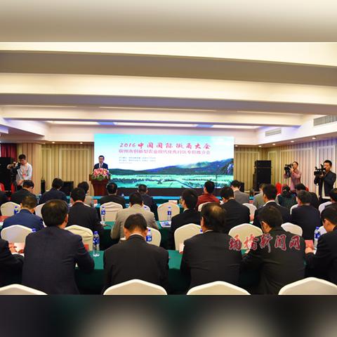 合肥市的区长是什么级别