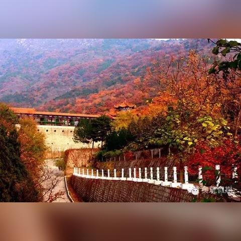 上海火炬餐厅有哪些品牌