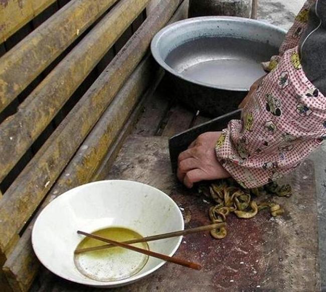 有钱女婿做什么美食（谁见过彩票一等奖获得者）