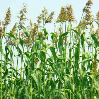 南通地铁无人驾驶时间相关长尾关键词有哪些