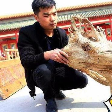 温州在河南的具体哪个方向？