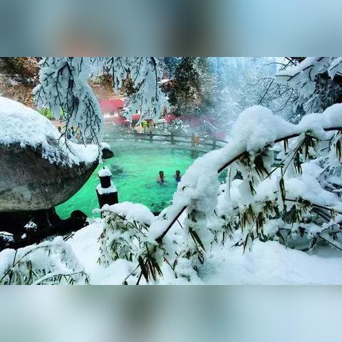 哈尔滨市冷冰城是哪个区