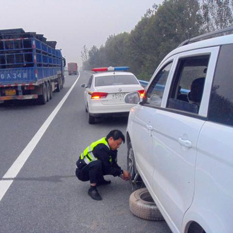 周口市流浪动物救助站的长尾关键词有什么