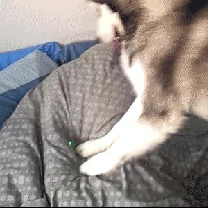 冬天合肥晚上哪里好玩相关长尾关键词有哪些