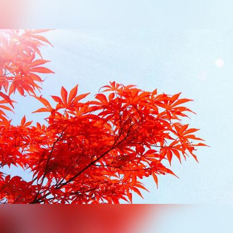 2025.12.30石家庄今日气温变化情况