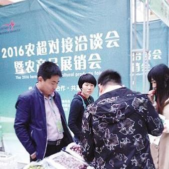 石家庄市哪里招大专工人