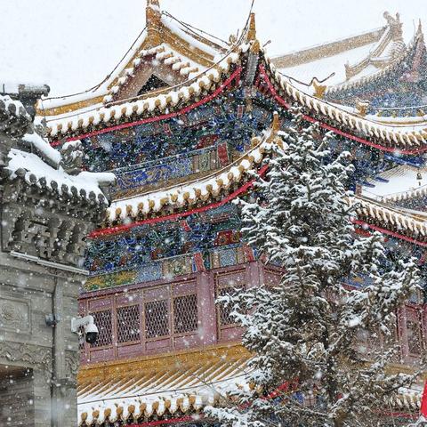 沈阳市泉源街哪个区