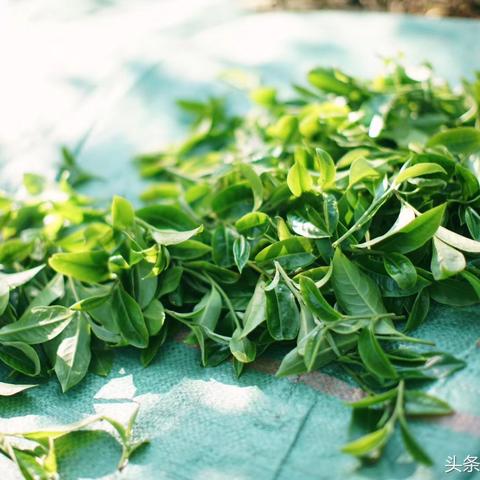 东莞市茶山二手文件柜的长尾关键词有什么