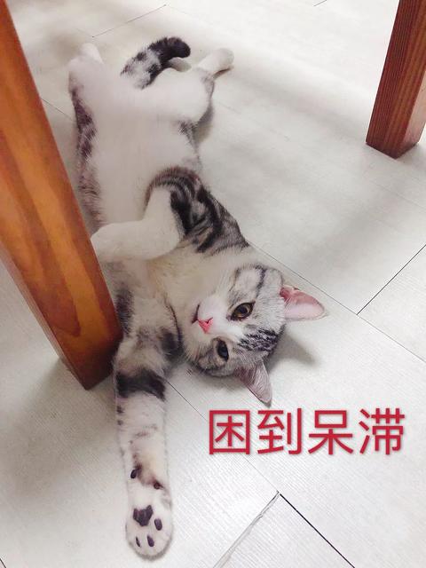 宝宝不困不用哄睡吗