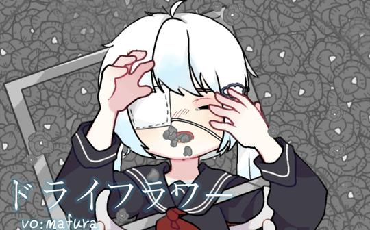 正太音的ドライフラワー听过吗(无mix)