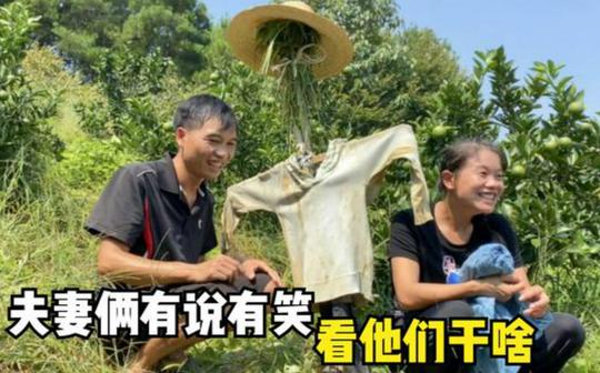 广西炮哥和湖南老婆果园干活，夫妻俩有说有笑真好，看他们干啥