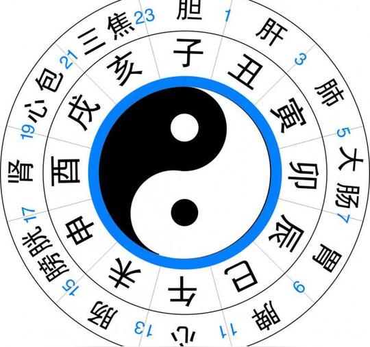 养生八卦图矢量素材+养生八卦图模板下载
