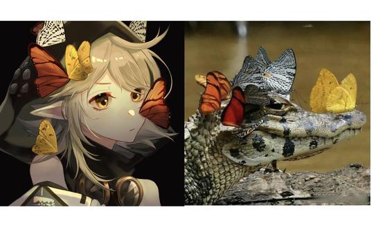 【procreate过程】明日方舟特米米头像