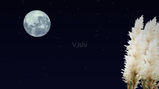 夜月色_854x480_高清视频素材下载(编号:2106294)__vj