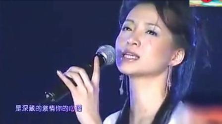 董卿追梦人