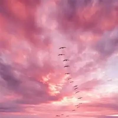 天空唯美美图♡云层下面的世界是你想不到的,风景静物,唯美