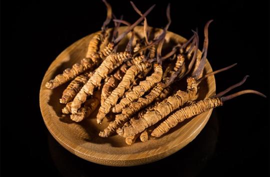 比黄金还贵的冬虫夏草,被国家食药监除名,30年的骗局就此瓦解