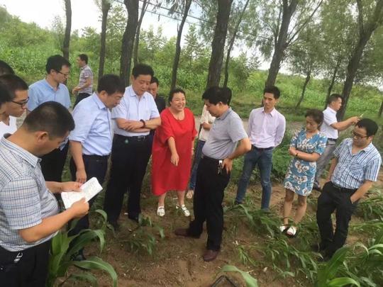 郭桂兰|一个草根企业家的绝地反击,一个励志版的巾帼创业征程!