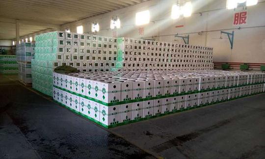 冷库机房用制冷剂f22,东岳原装产品,纯度99.9%出厂,净