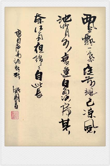 关于白鹭的古诗句有哪些?
