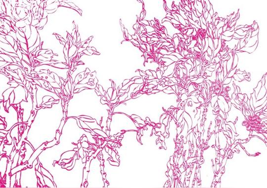 矢量素材白描画素描画手绘画美术画简写画简笔画钢笔画线条