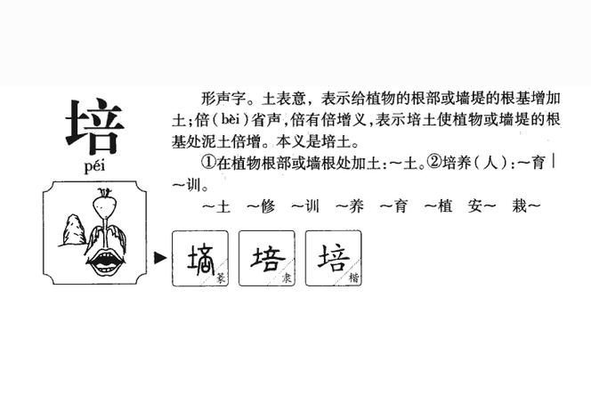 培墻組詞？