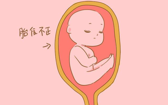 影响胎儿大小的因素有哪些