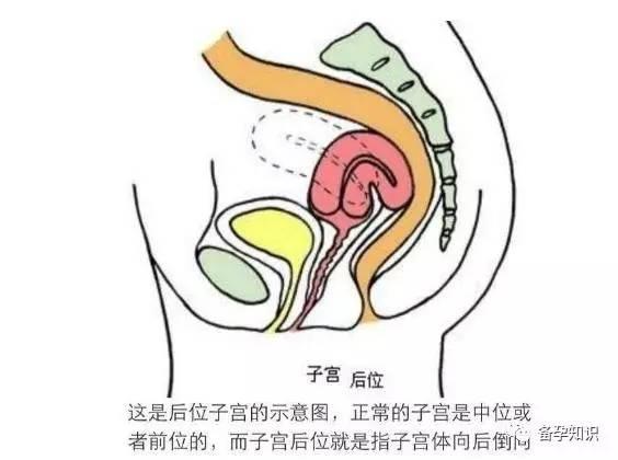 怎么样容易受孕成功 技巧