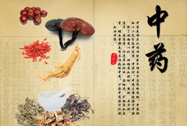什么对女生补血效果好