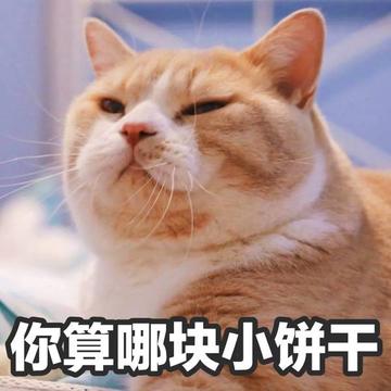 你要不要饼干可爱表情包