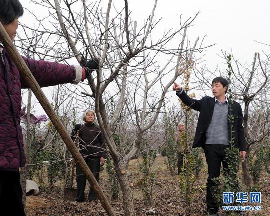 大学生村干部成为"创业之星"(组图)