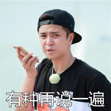 极限挑战罗志祥表情包