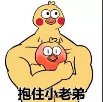 抖音小黄鸭动图表情包