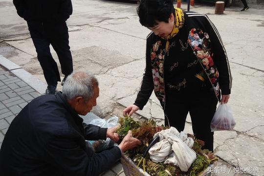 致富门路:农村山坡地堰自然生长的叶子,15元2斤半月净