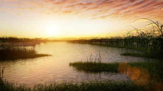 唯美湖水芦苇朝阳夕阳_1024x576_高清视频素材下载(:)
