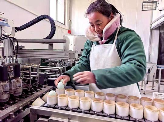 河南周口淮阳区:“80后”新乡贤做出养鸭大产业