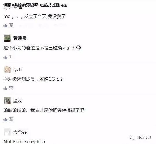 西海数据丨推荐盘点那些程序员十年难遇的bug都有什么?网友:厉害了