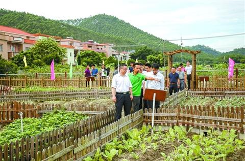 全市首个青年现代农业创业示范基地成立