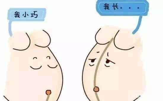 生男生女看妊娠线准吗